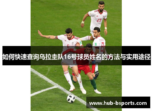 如何快速查询乌拉圭队16号球员姓名的方法与实用途径