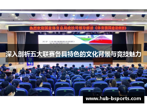 深入剖析五大联赛各具特色的文化背景与竞技魅力